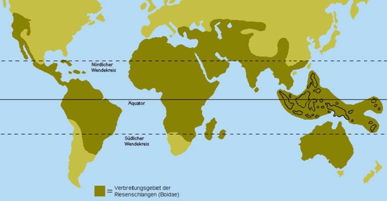 Verbreitungsgebiet der Boas Verbreitungsgebiet der Boas