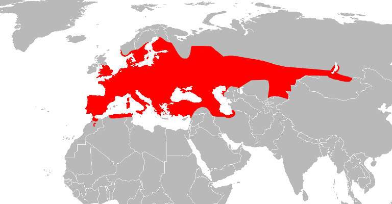 Verbreitungsgebiet der Ringelnatter Verbreitungsgebiet der Ringelnatter